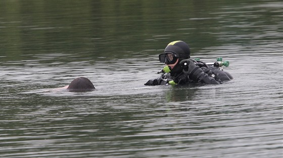 Po mui pátrali policejní potápi od sobotního odpoledne. (Ilustraní snímek)