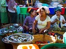 Na trhu se prodává nejen zelenina a ovoce, ale také erstvé ryby.