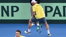 Australtí tenisté Sam Groth a John Peers (elem) bhem daviscupové tyhry...