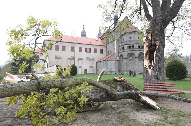 Silný poryv vtru rozlomil statný javor v zámecké zahrad v Tebíi a jeho ást...