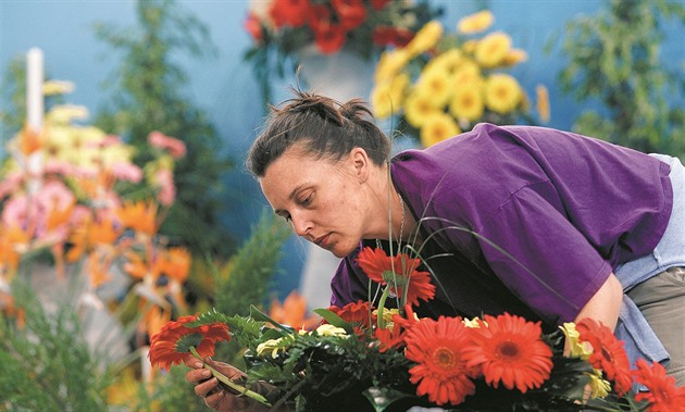 Píprava jarní etapy kvtinové výstavy Flora Olomouc.