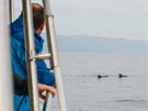 Pozorování velryb u Los Gigantes