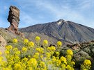 Pico de Teide (3 718 m) je nejvyí horou panlska.