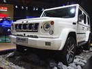 Autosalon anghaj 2017