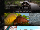 Google Earth nově nabízí i nejrůznější průvodce. V nich se můžete procházet... Google Earth nově nabízí i nejrůznější průvodce. V nich se můžete procházet...