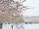 Centrum Bruntálu ve stedu dopoledne.