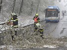 V Ostrav-Porub hasii odstraovali spadlý strom na silnici.