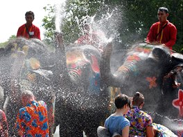 V Thajsku zaal Songkran Festival, známý také jako Vodní festival. Je oslavován...
