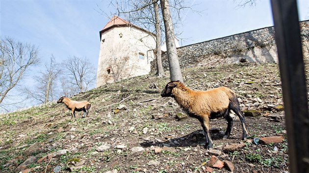 Nov naun stezka v Bechyni provd nvtvnky po zkoutch mstskho opevnn.