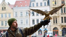 Liberecká radnice začne využívat sokolníka Alexandra Vrágu. Jeho dravci už... Liberecká radnice začne využívat sokolníka Alexandra Vrágu. Jeho dravci už...