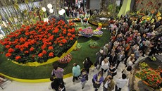 Jarní etapa květinové výstavy Flora Olomouc 2014. Jarní etapa květinové výstavy Flora Olomouc 2014.