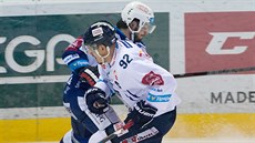 Liberecký hokejista Branko Radivojevi (v bílém) ve finále extraligy proti...