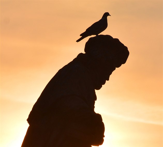 Je holub souástí sochy?