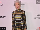 spn podnikatelka a profesionln modelka Maye Musk