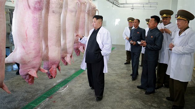 Severokorejsk vdce Kim ong-un na nvtv prase farmy (23. dubna 2017)