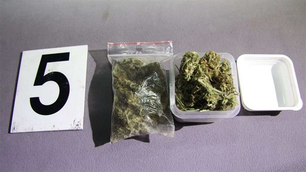 U jednoho ze zatench dealer drog na Perovsku nali policist mimo jin marihuanu.