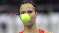 výcarka Viktorija Golubiová uhýbá míku bhem semifinále Fed Cupu s...