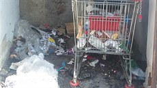 Tepličané nejčastěji nahlašují nepořádek v ulicích, naposledy třeba odpadky ve... Tepličané nejčastěji nahlašují nepořádek v ulicích, naposledy třeba odpadky ve...