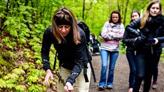 Vdci z Masarykovy univerzity sbírali klíata v brnnských Pisárkách.