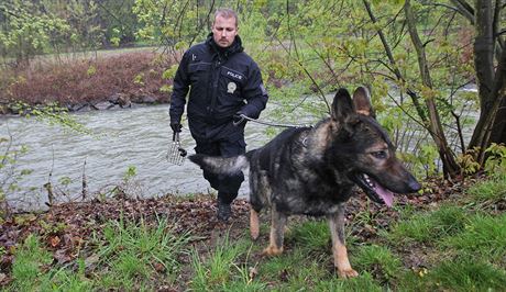 Policejní psovodi se psy prohledávali beh eky Odry poblí Jakubovic nad...