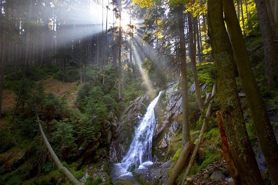 Národní rezervace Bílá str je ukázkou pirozeného horského biotopu.
