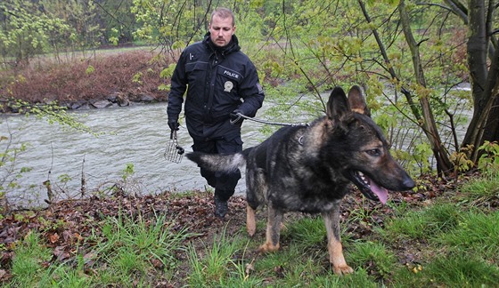 Policejní psovodi se psy prohledávali beh eky Odry poblí Jakubovic nad...