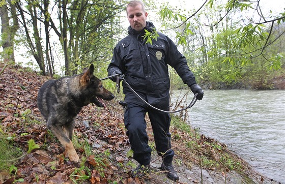 Policejní psovodi se psy prohledávali beh eky Odry u Jakubovic nad Odrou na...