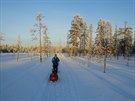 Markéta Peggy Marvanová na trati závodu Lapland Extreme Challenge ve Finsku.