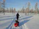 Markéta Peggy Marvanová a Adam Závika na trati závodu Lapland Extreme...