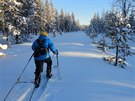 Markéta Peggy Marvanová na trati závodu Lapland Extreme Challenge ve Finsku.