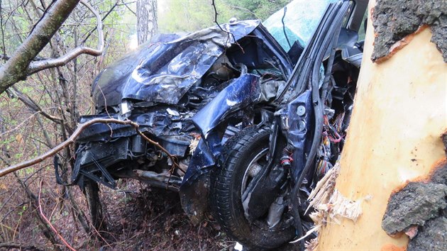 Řidička dostala na mokré silnici smyk a vrazila do stromu.