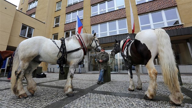 Páteční protest fiakristů před karlovarským magistrátem. (5.5.2017)