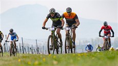 OBR ZA ŘÍDÍTKY. Veslař Ondřej Synek (oranžovočerný dres) na trati závodu Kolo... OBR ZA ŘÍDÍTKY. Veslař Ondřej Synek (oranžovočerný dres) na trati závodu Kolo...