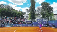 ÚTULNÝ TURNAJ. Karolína Plíšková, Šafářová i bývalé jedničky Wozniacká a... ÚTULNÝ TURNAJ. Karolína Plíšková, Šafářová i bývalé jedničky Wozniacká a...