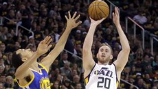 Gordon Hayward z Utahu stílí, brání ho Shaun Livingston z Golden State.