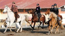 Dětský ranč Hlučín umožňuje zájemcům například jízdu na koni. Dětský ranč Hlučín umožňuje zájemcům například jízdu na koni.