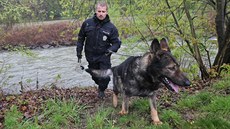 Policejní psovodi se psy prohledávali břeh řeky Odry poblíž Jakubčovic nad... Policejní psovodi se psy prohledávali břeh řeky Odry poblíž Jakubčovic nad...