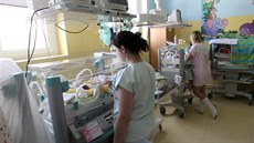 Havlíkobrodská nemocnice se kvli velké rekonstrukci porodnice zaala postupn...