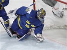 védský gólman Henrik Lundqvist inkasuje od výcarska.