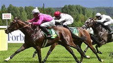 Velká jarní cena - v popředí je vítěz Sir Sun s žokejem Jiřím Chaloupkou. Velká jarní cena - v popředí je vítěz Sir Sun s žokejem Jiřím Chaloupkou.