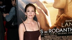 Diane Lane (2013) Diane Lane (2013)