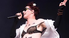 V roce 2013 vystoupila punková zpvaka Amanda Palmerová na hudebním festivalu...