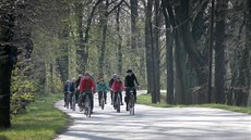 V Netolicích slavnostně otevřeli cyklostezku Štěpánka Netolického. V Netolicích slavnostně otevřeli cyklostezku Štěpánka Netolického.