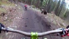 Cyklisty na Slovensku naháněl medvěd Cyklisty na Slovensku naháněl medvěd