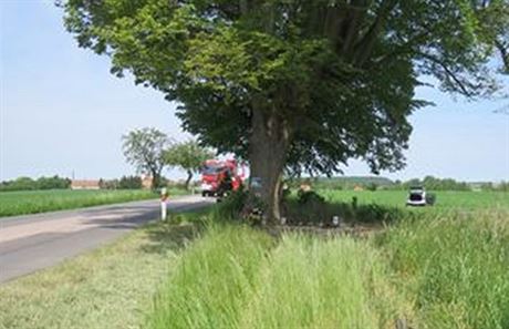 idika narazila do stromu, poté skonila v poli.