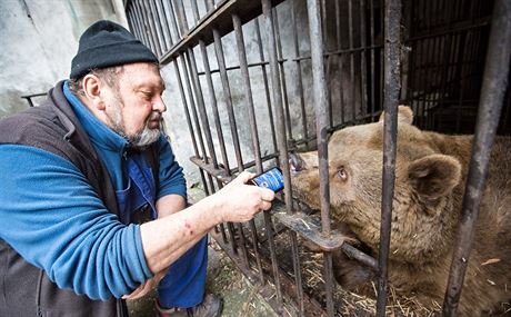 Medvdice Kateina zemela v úctyhodném vku 32 let.