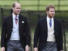 Svatba Pippy Middletonové - princ William a princ Harry (Englefield, 20. kvtna...