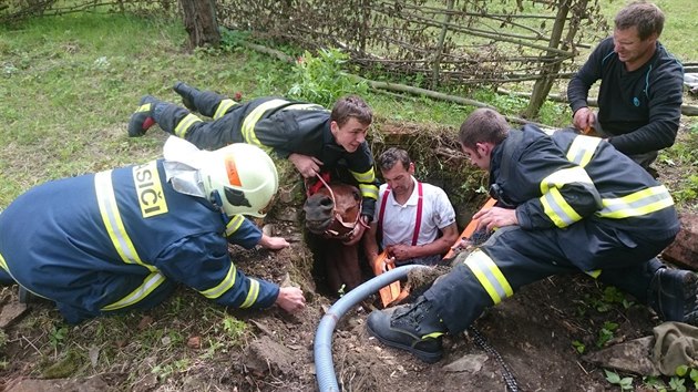 Hasii v Borohrdku po nkolika hodinch vyprostili kon ze studny (24. 5. 2017).