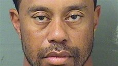 Golfista Tiger Woods po zadržení (29. května 2017) Golfista Tiger Woods po zadržení (29. května 2017)