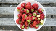 Dvojité potěšení. Jahody nejen báječně chutnají, ale prospívají i naší pleti. Dvojité potěšení. Jahody nejen báječně chutnají, ale prospívají i naší pleti.